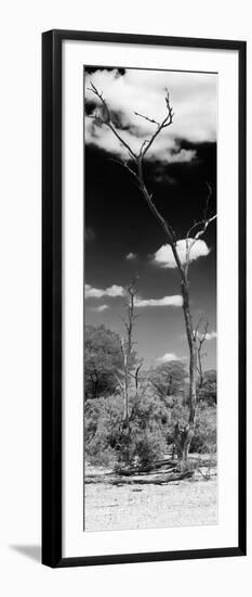 Awesome South Africa Collection Panoramic - African Tree at Savannah B&W-Philippe Hugonnard-Framed Photographic Print