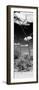 Awesome South Africa Collection Panoramic - African Tree at Savannah B&W-Philippe Hugonnard-Framed Premium Photographic Print