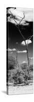 Awesome South Africa Collection Panoramic - African Tree at Savannah B&W-Philippe Hugonnard-Stretched Canvas
