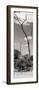 Awesome South Africa Collection Panoramic - African Tree at Savannah II-Philippe Hugonnard-Framed Photographic Print