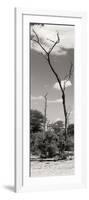 Awesome South Africa Collection Panoramic - African Tree at Savannah II-Philippe Hugonnard-Framed Photographic Print