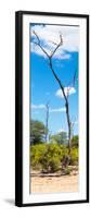 Awesome South Africa Collection Panoramic - African Tree at Savannah-Philippe Hugonnard-Framed Photographic Print