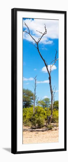 Awesome South Africa Collection Panoramic - African Tree at Savannah-Philippe Hugonnard-Framed Photographic Print