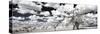 Awesome South Africa Collection Panoramic - Another Look Savannah II-Philippe Hugonnard-Stretched Canvas