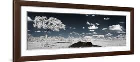 Awesome South Africa Collection Panoramic - Another Look Savannah III-Philippe Hugonnard-Framed Photographic Print