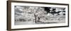 Awesome South Africa Collection Panoramic - Another Look Savannah-Philippe Hugonnard-Framed Photographic Print