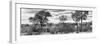 Awesome South Africa Collection Panoramic - Beautiful Savannah Landscape B&W-Philippe Hugonnard-Framed Photographic Print