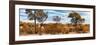 Awesome South Africa Collection Panoramic - Beautiful Savannah Landscape II-Philippe Hugonnard-Framed Photographic Print