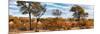 Awesome South Africa Collection Panoramic - Beautiful Savannah Landscape II-Philippe Hugonnard-Mounted Photographic Print