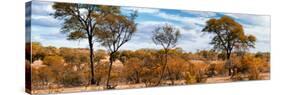 Awesome South Africa Collection Panoramic - Beautiful Savannah Landscape II-Philippe Hugonnard-Stretched Canvas