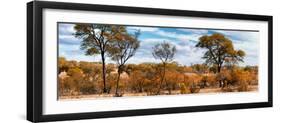 Awesome South Africa Collection Panoramic - Beautiful Savannah Landscape II-Philippe Hugonnard-Framed Photographic Print