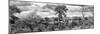 Awesome South Africa Collection Panoramic - Beautiful Savannah Landscape III B&W-Philippe Hugonnard-Mounted Photographic Print