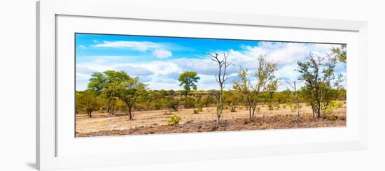 Awesome South Africa Collection Panoramic - Beautiful Savannah Landscape III-Philippe Hugonnard-Framed Photographic Print