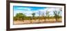 Awesome South Africa Collection Panoramic - Beautiful Savannah Landscape III-Philippe Hugonnard-Framed Photographic Print