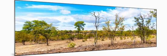 Awesome South Africa Collection Panoramic - Beautiful Savannah Landscape III-Philippe Hugonnard-Mounted Photographic Print