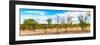 Awesome South Africa Collection Panoramic - Beautiful Savannah Landscape III-Philippe Hugonnard-Framed Photographic Print