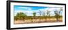 Awesome South Africa Collection Panoramic - Beautiful Savannah Landscape III-Philippe Hugonnard-Framed Photographic Print