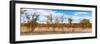Awesome South Africa Collection Panoramic - Beautiful Savannah Landscape IV-Philippe Hugonnard-Framed Photographic Print