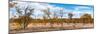 Awesome South Africa Collection Panoramic - Beautiful Savannah Landscape IV-Philippe Hugonnard-Mounted Photographic Print