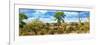 Awesome South Africa Collection Panoramic - Beautiful Savannah Landscape V-Philippe Hugonnard-Framed Photographic Print