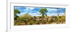 Awesome South Africa Collection Panoramic - Beautiful Savannah Landscape V-Philippe Hugonnard-Framed Photographic Print