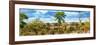 Awesome South Africa Collection Panoramic - Beautiful Savannah Landscape V-Philippe Hugonnard-Framed Photographic Print