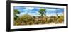 Awesome South Africa Collection Panoramic - Beautiful Savannah Landscape V-Philippe Hugonnard-Framed Photographic Print