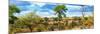 Awesome South Africa Collection Panoramic - Beautiful Savannah Landscape V-Philippe Hugonnard-Mounted Photographic Print