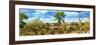 Awesome South Africa Collection Panoramic - Beautiful Savannah Landscape V-Philippe Hugonnard-Framed Photographic Print