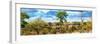 Awesome South Africa Collection Panoramic - Beautiful Savannah Landscape V-Philippe Hugonnard-Framed Photographic Print