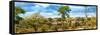 Awesome South Africa Collection Panoramic - Beautiful Savannah Landscape V-Philippe Hugonnard-Framed Stretched Canvas