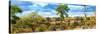 Awesome South Africa Collection Panoramic - Beautiful Savannah Landscape V-Philippe Hugonnard-Stretched Canvas