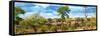 Awesome South Africa Collection Panoramic - Beautiful Savannah Landscape V-Philippe Hugonnard-Framed Stretched Canvas