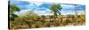 Awesome South Africa Collection Panoramic - Beautiful Savannah Landscape V-Philippe Hugonnard-Stretched Canvas