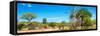 Awesome South Africa Collection Panoramic - Beautiful Savannah Landscape VI-Philippe Hugonnard-Framed Stretched Canvas