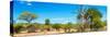 Awesome South Africa Collection Panoramic - Beautiful Savannah Landscape VI-Philippe Hugonnard-Stretched Canvas