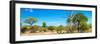 Awesome South Africa Collection Panoramic - Beautiful Savannah Landscape VI-Philippe Hugonnard-Framed Photographic Print