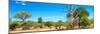 Awesome South Africa Collection Panoramic - Beautiful Savannah Landscape VI-Philippe Hugonnard-Mounted Photographic Print