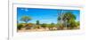 Awesome South Africa Collection Panoramic - Beautiful Savannah Landscape VI-Philippe Hugonnard-Framed Photographic Print