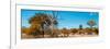 Awesome South Africa Collection Panoramic - Beautiful Savannah Landscape VII-Philippe Hugonnard-Framed Photographic Print