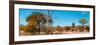 Awesome South Africa Collection Panoramic - Beautiful Savannah Landscape VII-Philippe Hugonnard-Framed Photographic Print