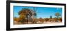 Awesome South Africa Collection Panoramic - Beautiful Savannah Landscape VII-Philippe Hugonnard-Framed Photographic Print