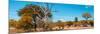 Awesome South Africa Collection Panoramic - Beautiful Savannah Landscape VII-Philippe Hugonnard-Mounted Photographic Print