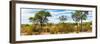 Awesome South Africa Collection Panoramic - Beautiful Savannah Landscape-Philippe Hugonnard-Framed Photographic Print