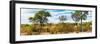 Awesome South Africa Collection Panoramic - Beautiful Savannah Landscape-Philippe Hugonnard-Framed Photographic Print