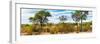 Awesome South Africa Collection Panoramic - Beautiful Savannah Landscape-Philippe Hugonnard-Framed Photographic Print