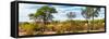 Awesome South Africa Collection Panoramic - Beautiful Savannah Landscape-Philippe Hugonnard-Framed Stretched Canvas