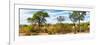 Awesome South Africa Collection Panoramic - Beautiful Savannah Landscape-Philippe Hugonnard-Framed Photographic Print