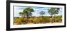 Awesome South Africa Collection Panoramic - Beautiful Savannah Landscape-Philippe Hugonnard-Framed Photographic Print