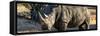 Awesome South Africa Collection Panoramic - Black Rhino at Sunset-Philippe Hugonnard-Framed Stretched Canvas